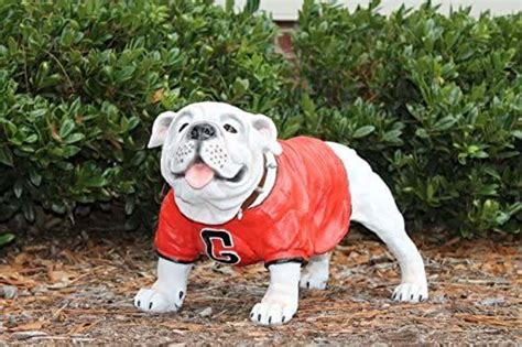 georgia bulldog outdoor decor.